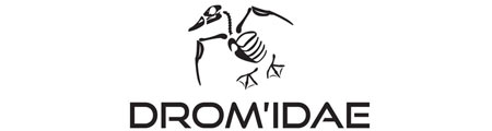Drom'idae